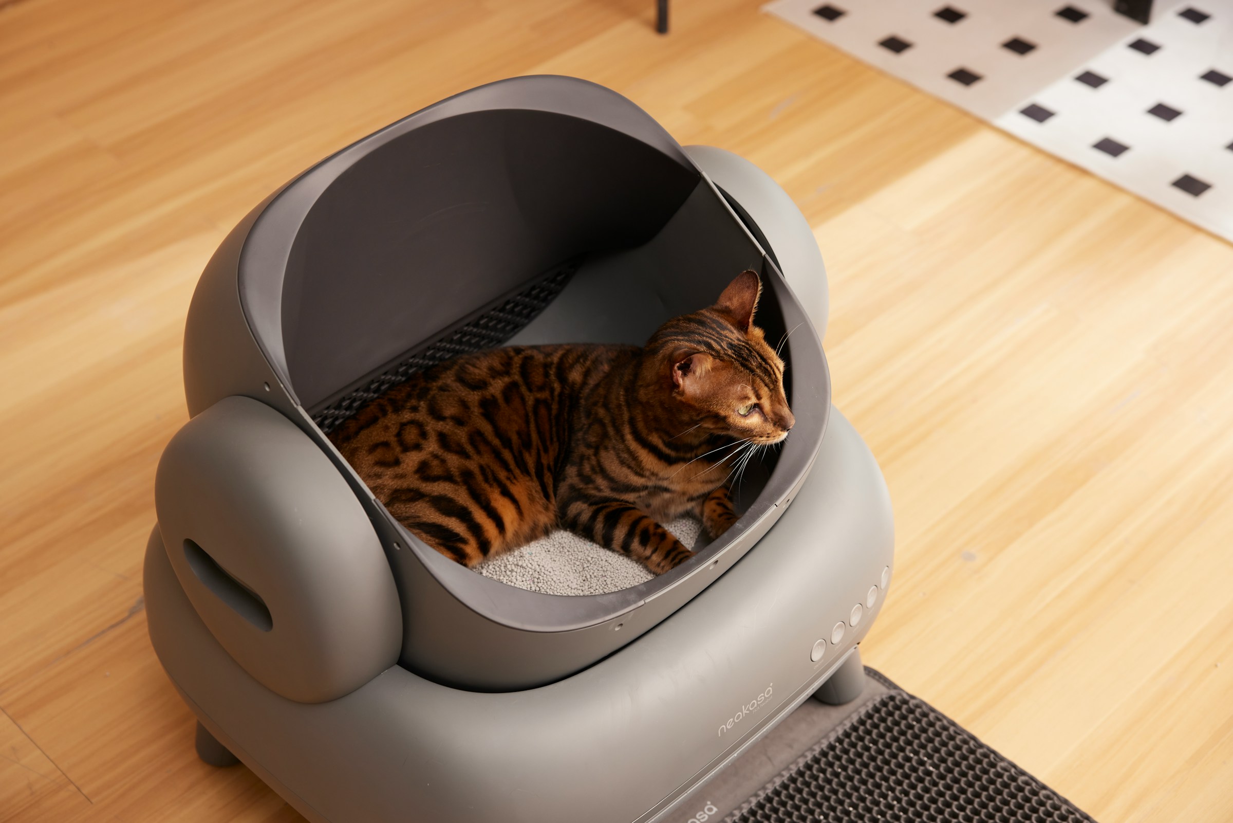 A cat in a modern electrified litter box